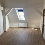 Rent 3 bedroom apartment of 135 m² in Hodonín