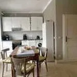 Rent 2 bedroom apartment of 55 m² in Berlin