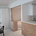 Rent 1 bedroom apartment in Ixelles