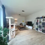 Rent 4 bedroom house of 324 m² in Lievegem