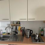 Rent 1 bedroom apartment of 29 m² in Dresden