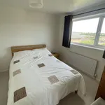 Rent 3 bedroom house in Sheffield