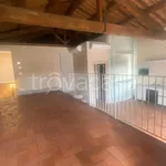 Rent 12 bedroom apartment of 990 m² in Lucca