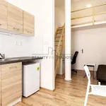 Rent 1 bedroom apartment of 21 m² in Brno