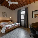 Rent 2 bedroom apartment of 100 m² in florence