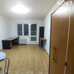 Rent 1 bedroom apartment of 24 m² in Ostrava