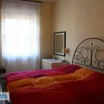 Rent 2 bedroom apartment of 40 m² in Turin