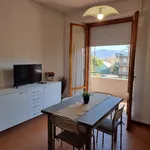 Rent 2 bedroom apartment of 40 m² in Follonica