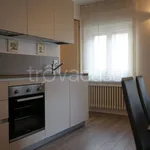 Rent 2 bedroom apartment of 45 m² in Torino