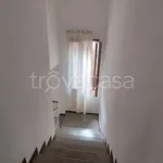 Rent 3 bedroom apartment of 70 m² in Padova