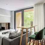 Rent 1 bedroom apartment of 33 m² in lisbon