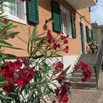 Rent 4 bedroom apartment of 98 m² in Riva del Garda