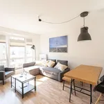 Miete 1 Schlafzimmer wohnung von 50 m² in berlin