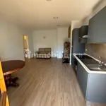 Rent 2 bedroom apartment of 57 m² in Rome