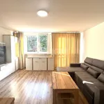 Rent 2 bedroom apartment of 48 m² in Wrocław