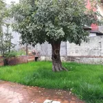 Rent 4 bedroom house of 140 m² in Nicolosi