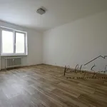 Rent 1 bedroom apartment in Přerov