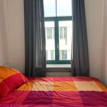 Miete 1 Schlafzimmer wohnung von 40 m² in Dresden