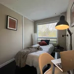 Rent 1 bedroom apartment in Brampton