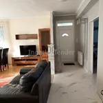 Rent 5 bedroom house of 1000 m² in Budapest