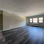 Rent 1 bedroom apartment in Chicago