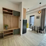 Rent 1 bedroom apartment of 30 m² in Siemianowice Śląskie