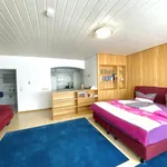 Miete 2 Schlafzimmer wohnung von 45 m² in Friedrichshafen