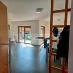 Rent 2 bedroom apartment of 59 m² in Bolzano