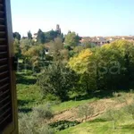 Rent 1 bedroom apartment of 35 m² in Pontedera