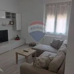 Rent 2 bedroom apartment of 50 m² in Varese