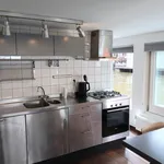 Rent 3 bedroom house of 70 m² in Haarlemmerbuurt