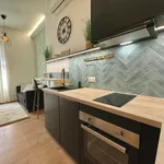 Rent 1 bedroom apartment of 36 m² in Budapest