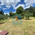 Affitto 6 camera appartamento di 188 m² in Fiesole