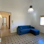 Appartamento arredato con terrazzo Centro