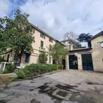 Rent 15 bedroom house of 860 m² in Florence