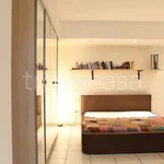 Rent 1 bedroom apartment of 55 m² in Segrate