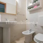 Rent 1 bedroom apartment of 39 m² in Turin