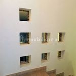 Rent 2 bedroom apartment of 55 m² in Turin