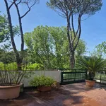 Rent 5 bedroom apartment of 300 m² in Roma