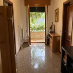 Rent 5 bedroom apartment of 85 m² in Padova