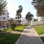 Rent 1 bedroom apartment of 50 m² in Minorca']