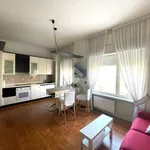 Rent 1 bedroom apartment of 50 m² in Segrate