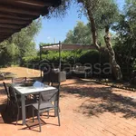 Rent 9 bedroom apartment of 250 m² in Orbetello