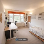 Rent 3 bedroom house in Brighton