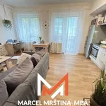 Rent 2 bedroom apartment of 53 m² in Náchod