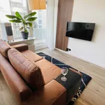 Rent 1 bedroom apartment in Antwerpen