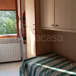 Rent 3 bedroom apartment of 65 m² in Rosignano Marittimo