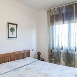 Rent a room in Roma