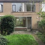 Rent 4 bedroom house of 115 m² in Breda