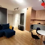 Rent 1 bedroom apartment of 31 m² in Poznan